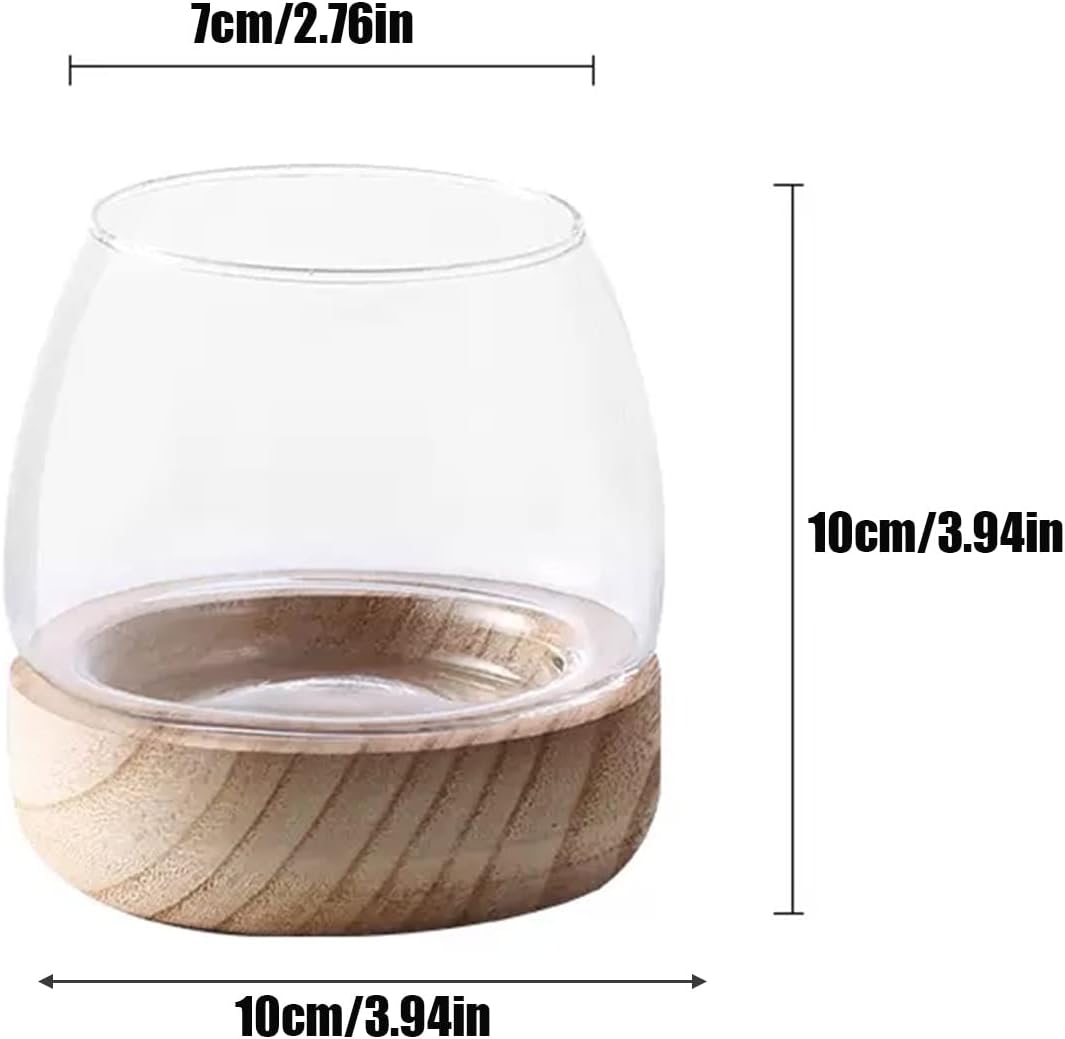 Jarrón de vidrio con base de madera desmontable, pequeño jarrón de vidrio de escritorio para plantas hidropónicas, terrario ecológico, acuario,