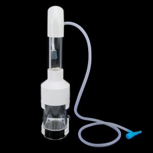 AQ50025 Acrílico 9.8 in x 1.969 in Corto Acuario Cíclidos Vaso Incubadora Peces Incubadora Huevos En lugar de la boca BroodingSuministros de AQ50025 Acrílico 9.8 in x 1.969 in Corto Acuario Cíclidos Vaso Incubadora Peces Incubadora Huevos En lugar de la boca BroodingSuministros de