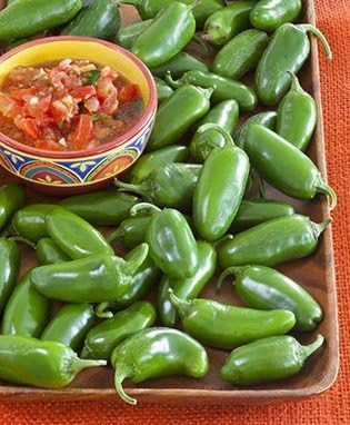 Clovers Garden Plantas de pimiento jalapeño suave, dos (2) plantas vivas, sin OMG, sin semillas, cada una de 4 a 8 pulgadas de alto en macetas de 4