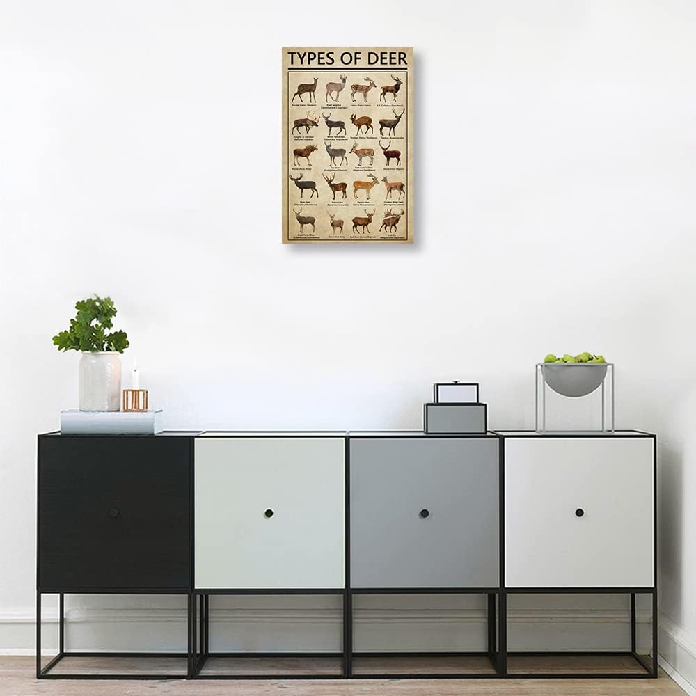 Póster de arte para pared de ciervos con diseño de conocimiento, arte de pared enmarcado, arte de pared educativo, pintura vintage, pósteres de
