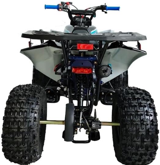 HHH 125cc ATV Quad Youth Utility Style ATV 125cc Totalmente Automático con Gas Reverse ATV 4 Ruedas Neumáticos Grandes 1918″