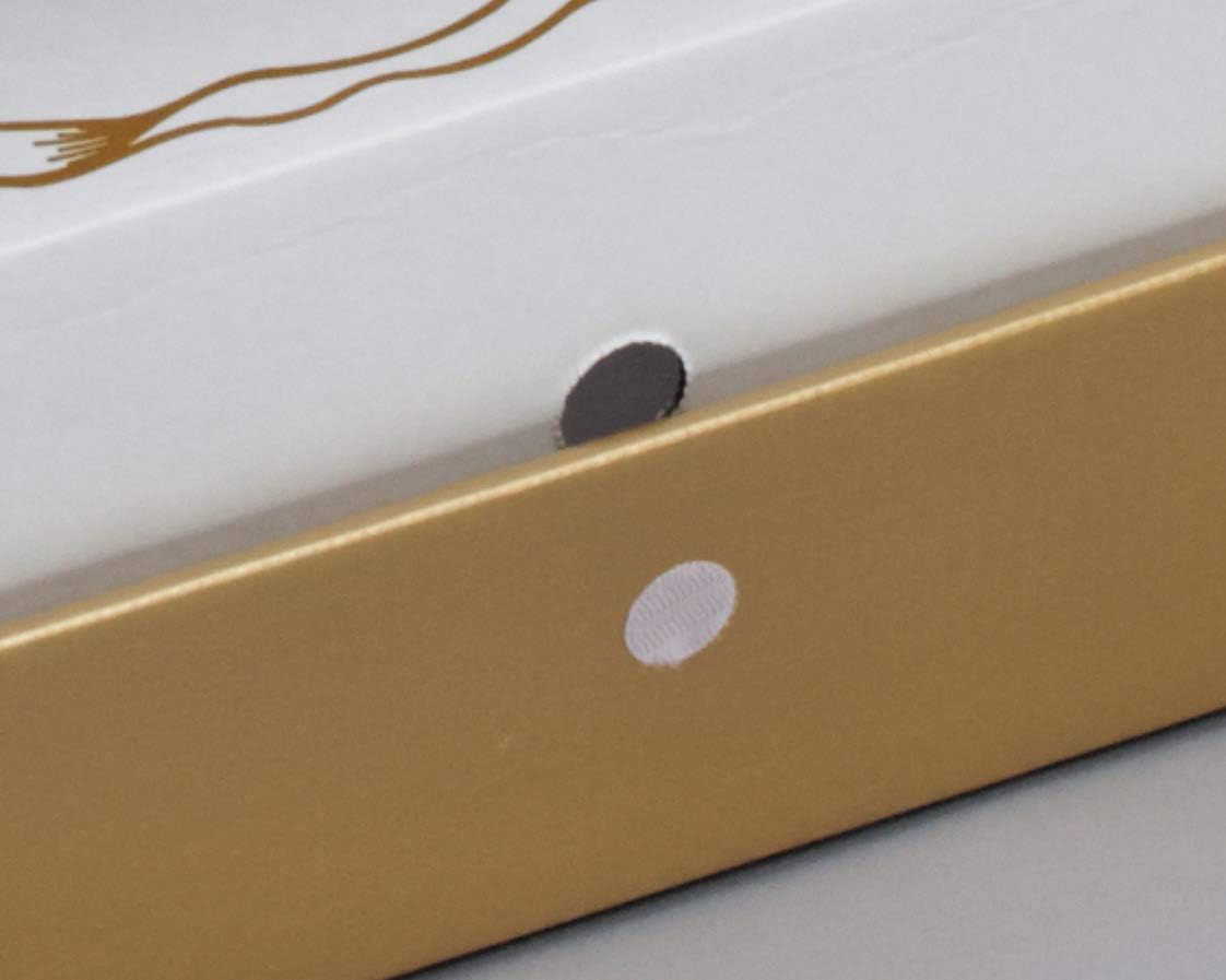 Foster-Stephens – Kit de conservación de vestidos de novia  Elegante caja de almacenamiento para vestidos de novia  Organizador de almacenamiento de