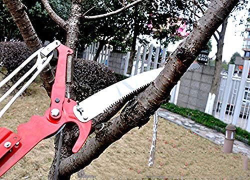 Sierras de poste de árbol de 26 pies, podadora de poste de árbol, cortadora de cizalla, podadora de ramas de coco, sierras manuales de poste (rojo)
