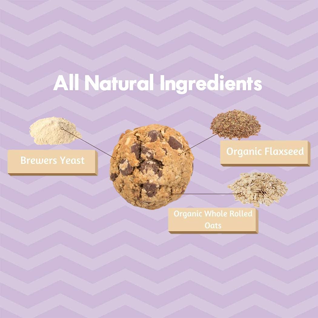 MilkBliss Dark Chocolate Chip Lactation Cookie Mix- Oatmeal Breastfeeding Cookie Supplement Support for Milk Supply Increase 15 oz