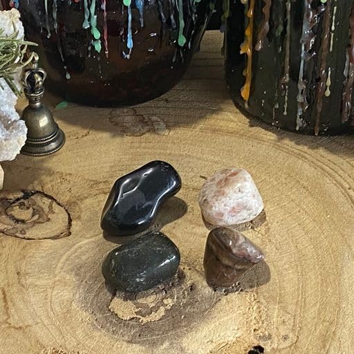 Kit de piedra del zodiaco Leo Healing Atlas! Aprovecha el poder transformador de las piedras, ónix negro, labradorita y madera petrificada. Aumenta