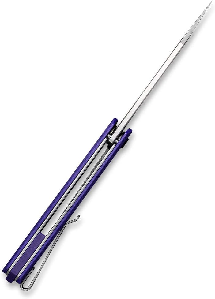 CIVIVI Chronic – Cuchillo de bolsillo plegable, cuchillo de caza de supervivencia al aire libre con hoja 9Cr18MoV de 3.22 pulgadas, mango G10,