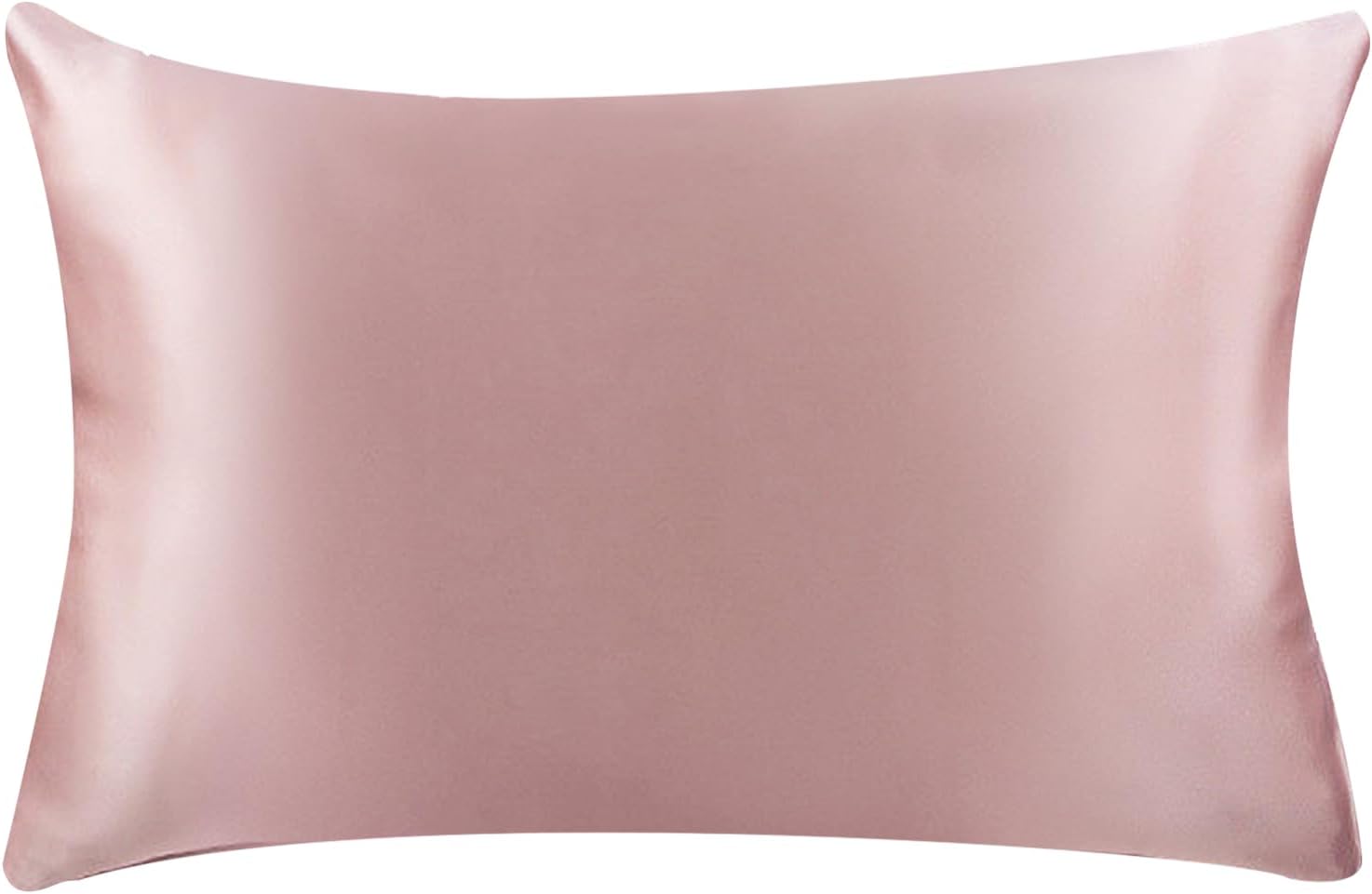 Astarmark Funda de almohada de seda de morera 6A 100% pura, suave, cómoda, saludable, de doble cara para piel y cabello (19 mommes, cremallera