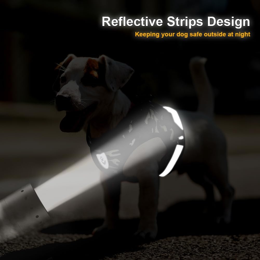 FEimaX Juego de arnés y correa para perro, malla suave, ajustable, fácil de controlar, chaleco ligero para gatos con tiras reflectantes, a prueba de