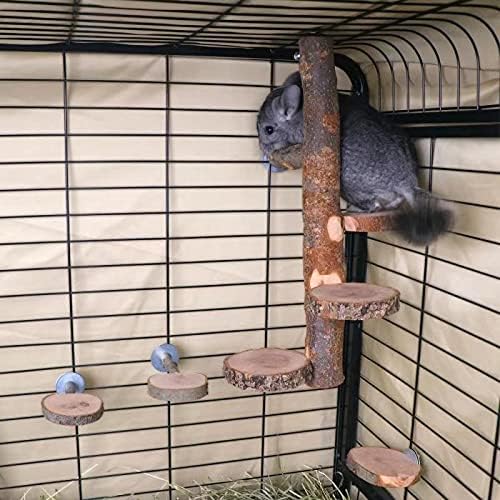 Chinchilla – Plataforma giratoria de madera colgante grande  Plataforma de pie de madera de fruta natural para animales pequeños  Plataforma