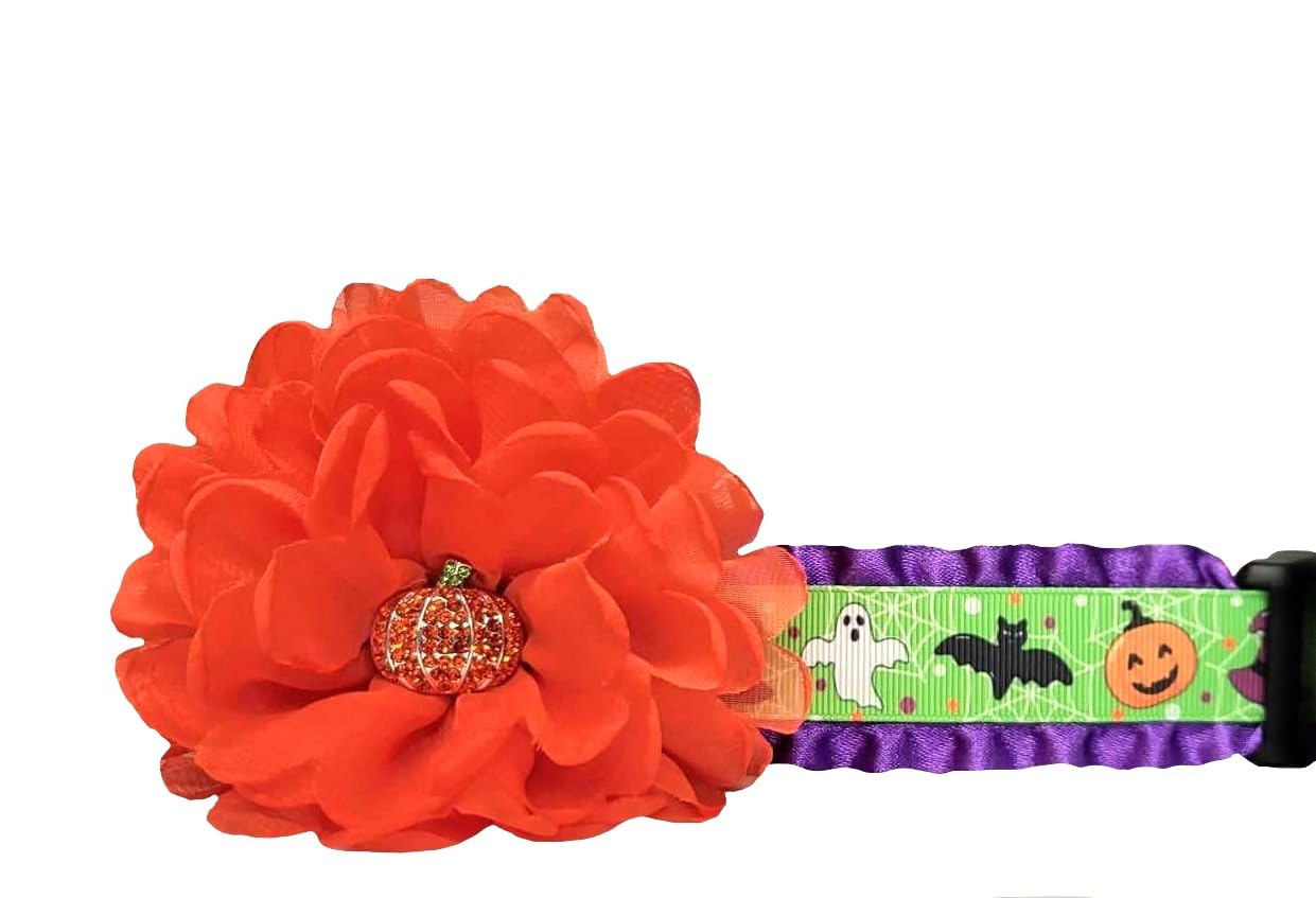 Halloween Dog Collar