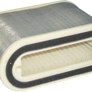 Hiflofiltro Filtro de aire de repuesto prémium de equipo original HFA4910 Hiflofiltro Filtro de aire de repuesto prémium de equipo original HFA4910