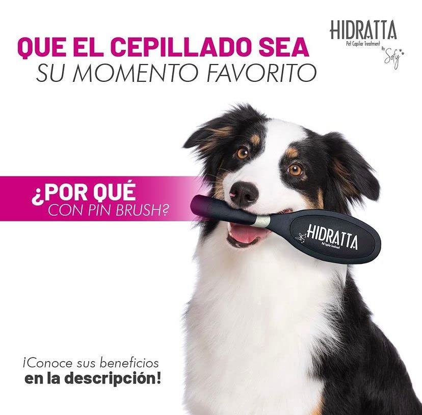 Cepillo para mascotas – cepillo mantequilla