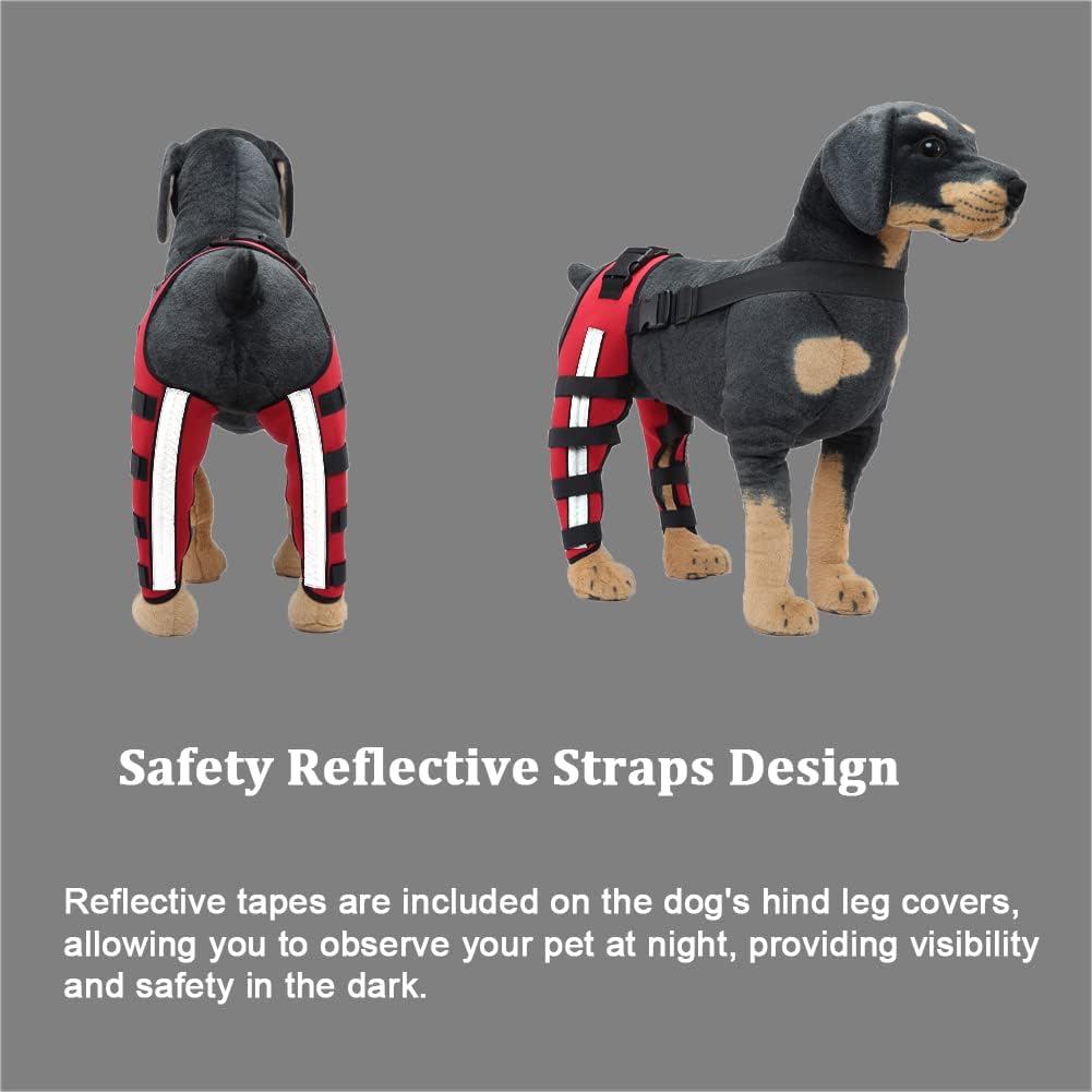 Rodillera ajustable para perro con doble pierna trasera con bisagras de metal soporte flexible y cinturones de seguridad reflectantes, soporte para
