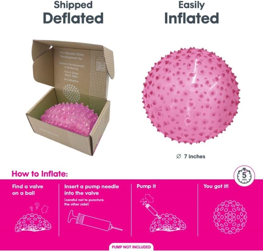 Edushape La bola sensorial original para bebé, bola de bebé de 7 pulgadas que ayuda a mejorar las habilidades motoras gruesas para niños de 6 meses