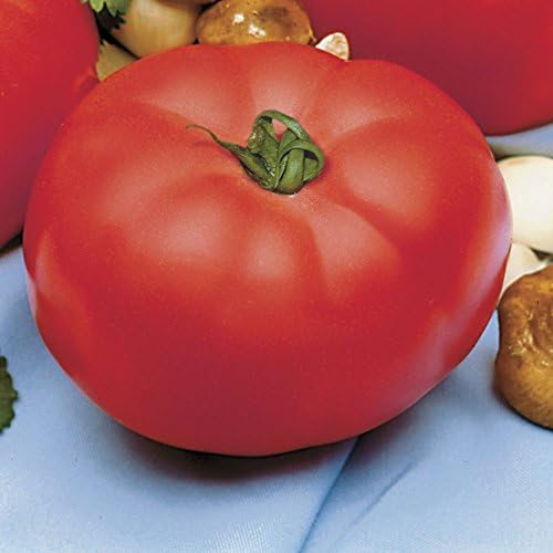 Park Seed Semillas de tomate híbridas Beefmaster, paquete de 30 semillas