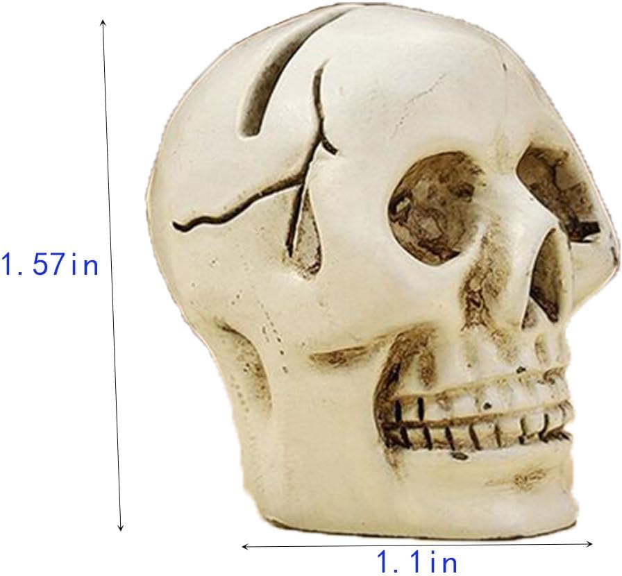 4 piezas de lindo clip para tarjetas en la parte superior de la mesa, cráneo de resina, modelo de réplica de calavera humana realista para