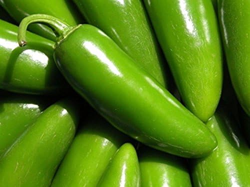 Semillas gigantes de pimienta jalapeño enormes PODS grandes rellenos MILD.(50 – Semillas)