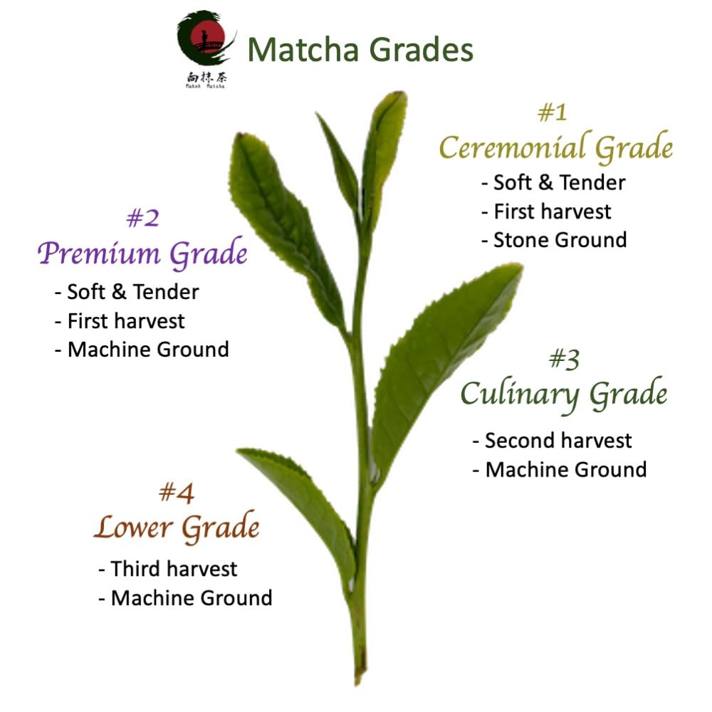 0.71 oz Dreaming Matcha (dorado) polvo de té verde matcha japonés 100% raro de grado ceremonial puro, sin azúcar, auténtico auténtico, catequina,