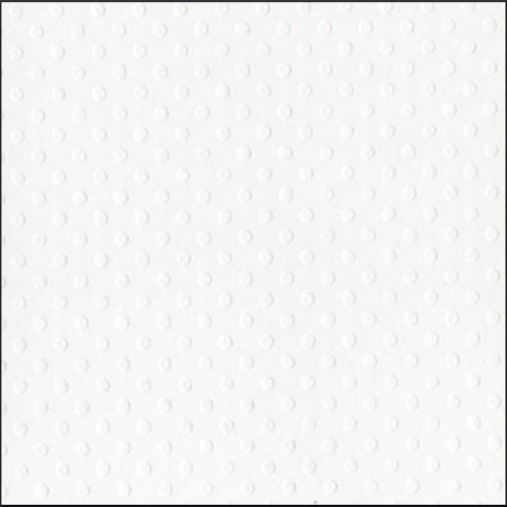 SALT – Cartulina suiza punteada de 12 x 12 pulgadas por Bazzill  Papel de álbum de recortes blanco en relieve de punto suizo de 80 libras  Cartulina