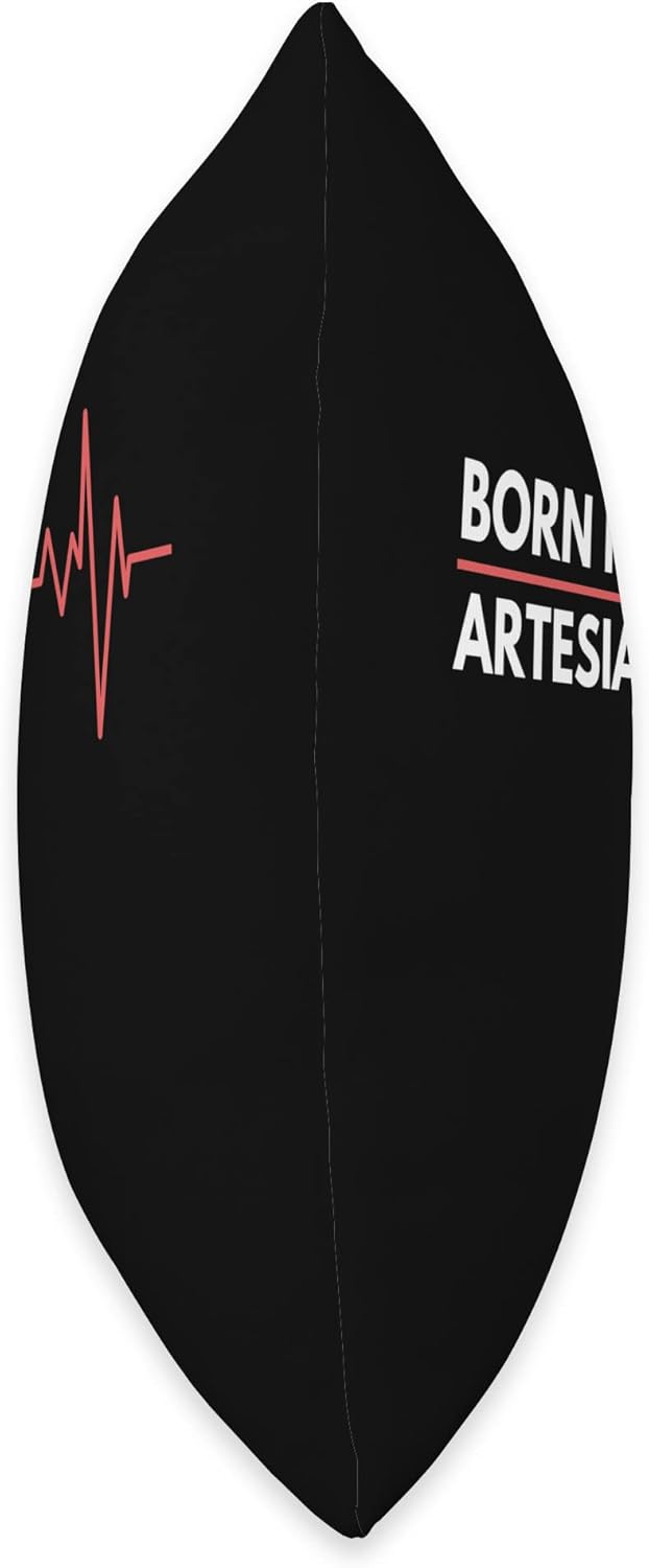Made In Artesia New Mexico Co. Inc. Made in Artesia New Mexico City of Birth Birthplace – Almohada de 16 x 16 pulgadas, multicolor