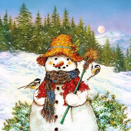 Servilletas de Navidad de 13 x 13 pulgadas para Decoupage, servilletas de muñeco de nieve con pájaros, servilletas de papel de Navidad, servilletas