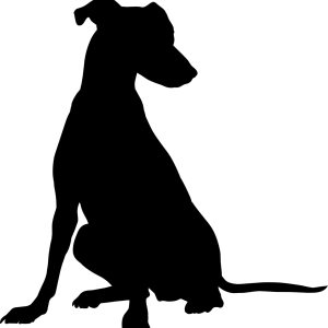 Parches termoadhesivos de silueta para cachorros, calcomanías de transferencia de letras para camisetas, ropa de tela (Greyhound-Puppy-) Parches termoadhesivos de silueta para cachorros, calcomanías de transferencia de letras para camisetas, ropa de tela (Greyhound-Puppy-)