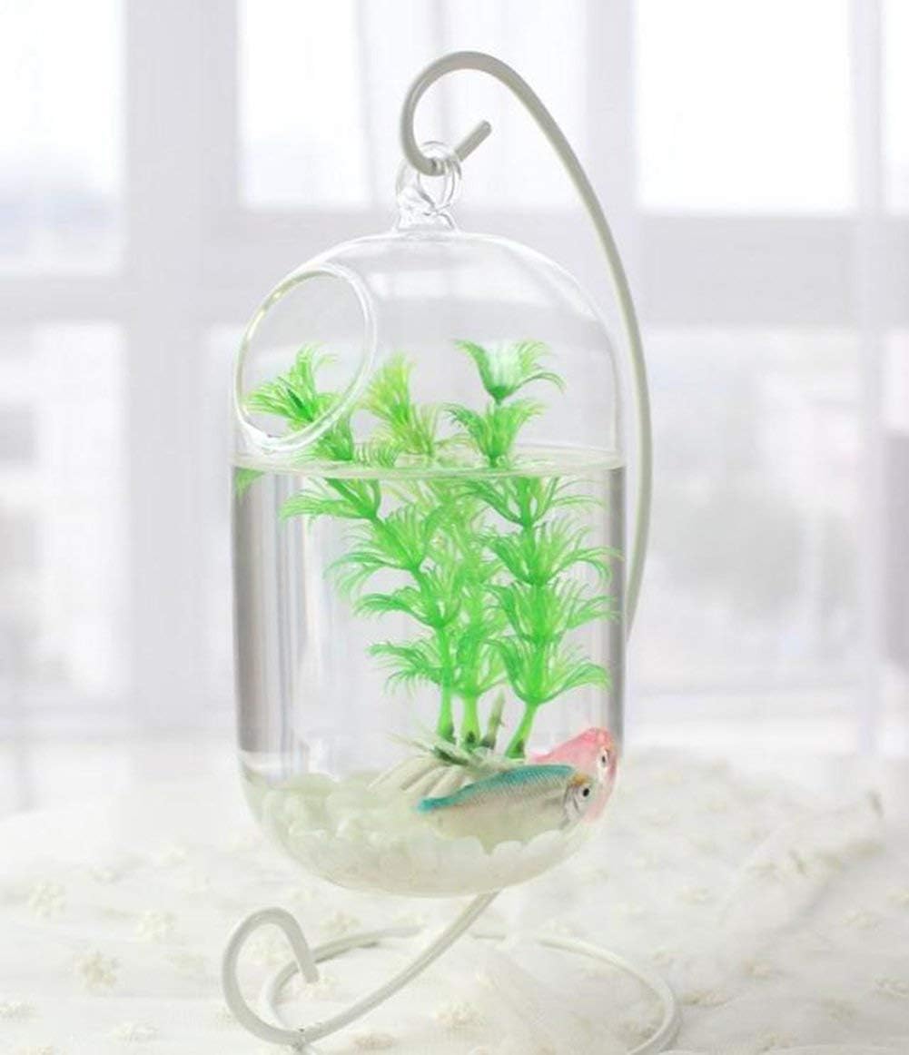 Artliving Paquete de 6 soportes de exhibición de adornos, soporte colgante de hierro blanco para colgar globo de vidrio, plantas de aire, terrario,