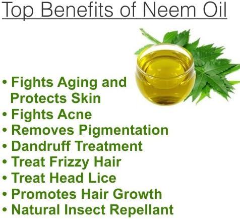 Aceite esencial de neem (Azadirachta Indica)  Aceite esencial 100% puro y natural sin diluir para aceite de grado terapéutico, 169.1 fl oz