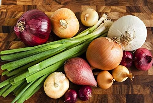 Cebolla Vegetal Rainbow Mix Neutral – 500 Semillas