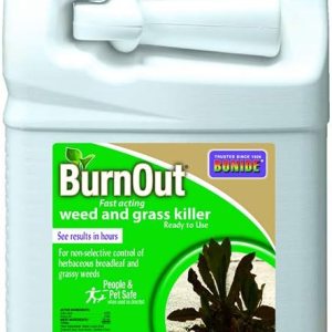 Bonide Products 7492 Burnout, herbicida de pasto y malezas listo para usar Bonide Products 7492 Burnout, herbicida de pasto y malezas listo para usar