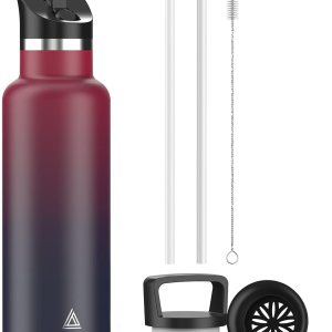 Botella de agua de acero inoxidable con popote  Botella de agua aislada para deportes, gimnasio, escuela, viajes, adultos y niños  Mantiene el frío Botella de agua de acero inoxidable con popote  Botella de agua aislada para deportes, gimnasio, escuela, viajes, adultos y niños  Mantiene el frío