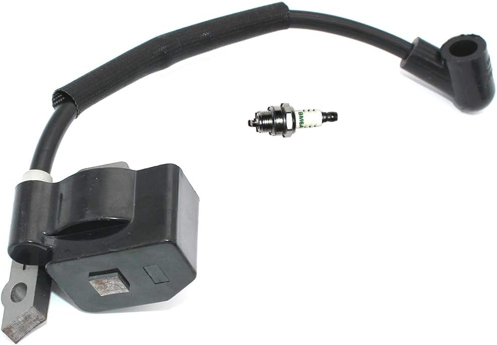 Módulo de encendido EWith Bujía BM6A para Ryobi RY09460 RY13010 RY34000 RY34420 RY34421 RY34440(S430) RY34441 RY64400 FY09440 RY34001 RY34001