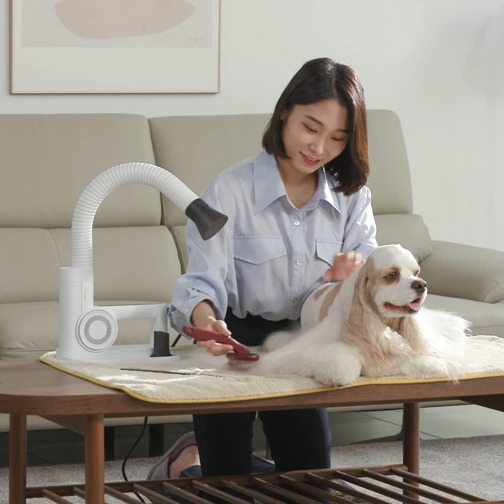 Duz V3 – Secador de mascotas de calidad profesional 2 en 1 portátil y manos libres, secado de bajo ruido y sin estrés, velocidad y temperatura,