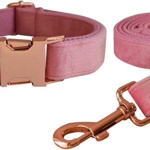 Juego de collar y correa de terciopelo para perro, collar y correa de perro suaves y cómodos, collares ajustables con hebilla de metal resistente Juego de collar y correa de terciopelo para perro, collar y correa de perro suaves y cómodos, collares ajustables con hebilla de metal resistente