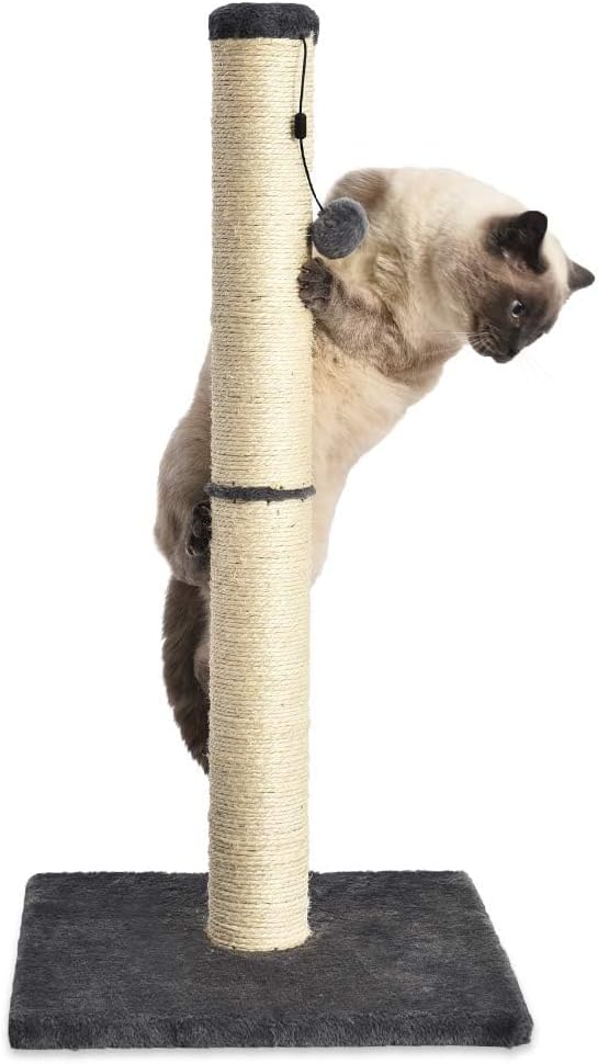 Tienda Basics Poste rascador para gatos, mediano, 15.75 x 15.75 x 31.5 pulgadas de alto, gris