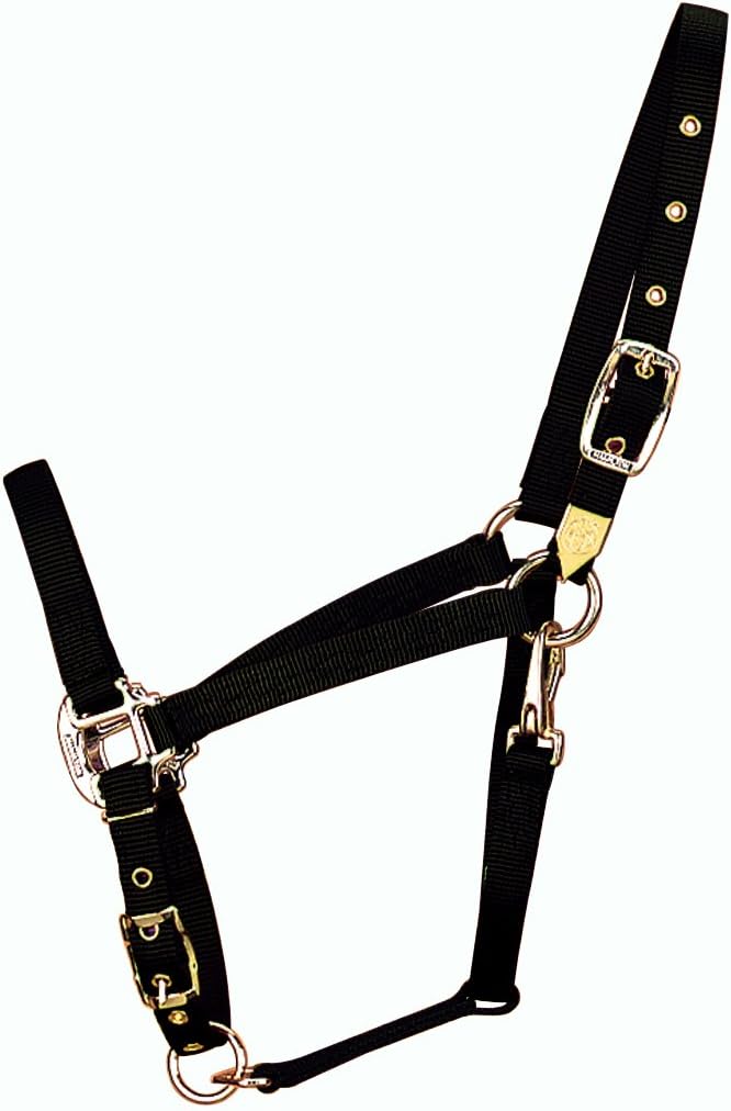 Hamilton Caballo árabe de nailon de 34 pulgadas con barbilla ajustable y broche de garganta, promedio, 800 a 1100 libras, negro
