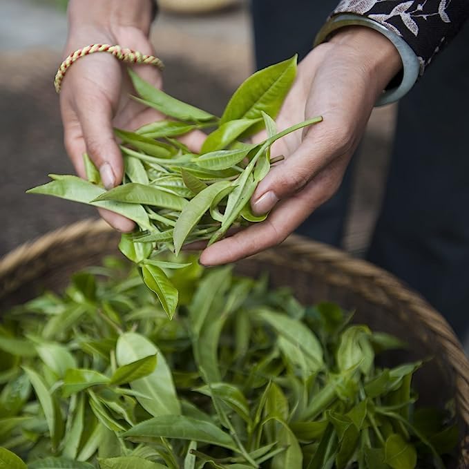 Palais des Thés – L’Herboriste N52 orgánico – Té de hierbas gourmet premium con anís, menta y bálsamo de limón – Caja de 20 bolsas de té de algodón