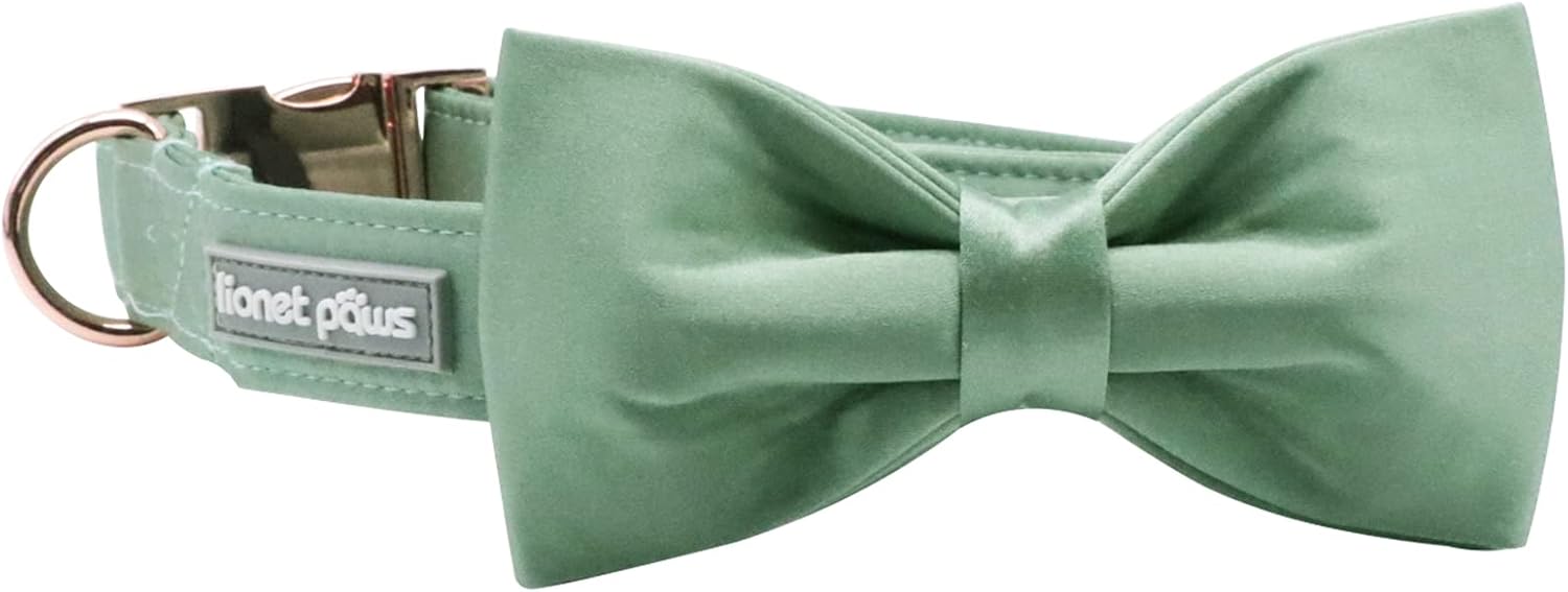 Lionet Paws Collar de perro con pajarita, cómodo collar de seda verde para perro con pajarita desmontable para cachorros y gatos, cuello de 8 a 12
