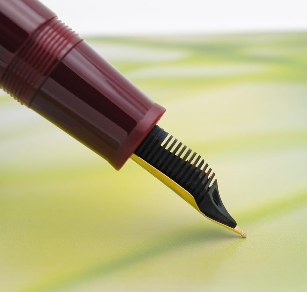 JINHAO 9019 – Pluma estilográfica Dadao Series con convertidor de tinta de alta capacidad (color rojo vino, punta fina de 0.020 in)
