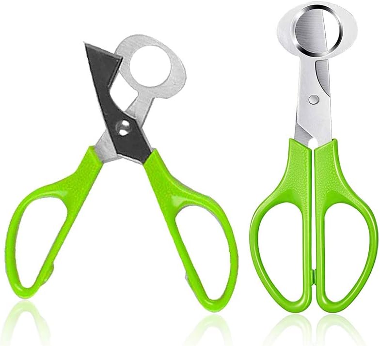Pack de 2 Tijeras de Huevo de Paloma Acero Inoxidable Verde