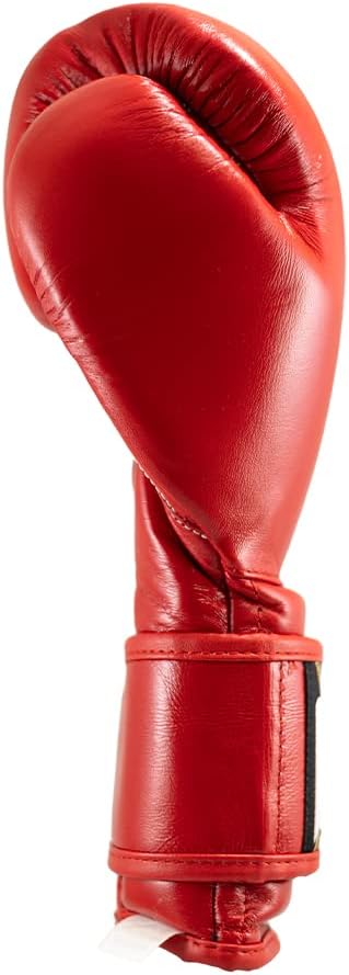 CLETO REYES Guantes de entrenamiento con correa de cuero y pulgar adjunto y cierre de gancho y bucle