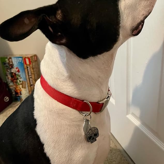 Etiquetas para perro grabadas para mascotas, etiqueta de identificación de perro personalizada con diseño de calavera, etiquetas de nombre de perro