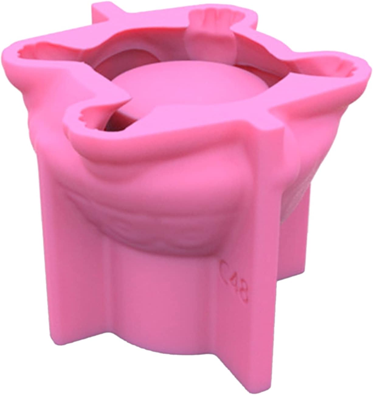 Molde de silicona para macetas de tortuga, molde de resina para suculentas, animales, divertido, lindo escritorio, hogar, D, maceta, moldes de
