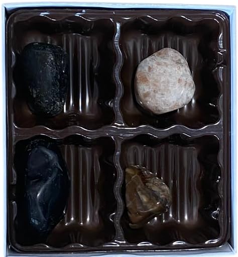 Kit de piedra del zodiaco Leo Healing Atlas! Aprovecha el poder transformador de las piedras, ónix negro, labradorita y madera petrificada. Aumenta
