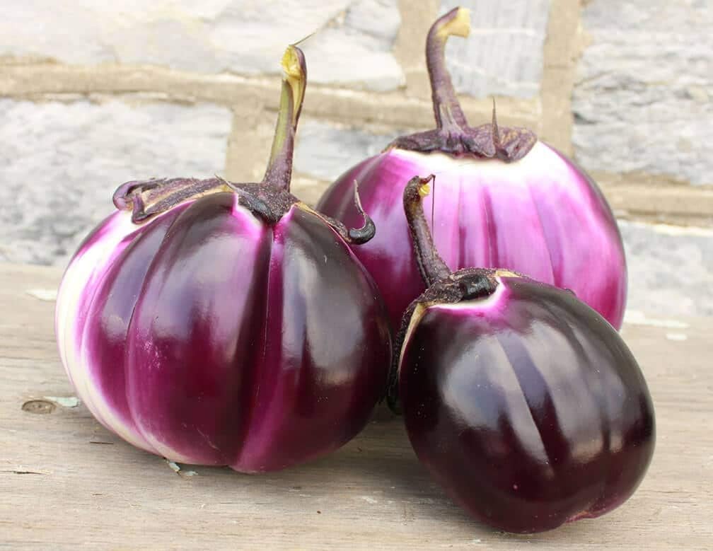 Semillas de berenjena Barbarella para plantar, más de 20 semillas por paquete, semillas de jardín de Isla (semillas de jardín de Isla), semillas sin