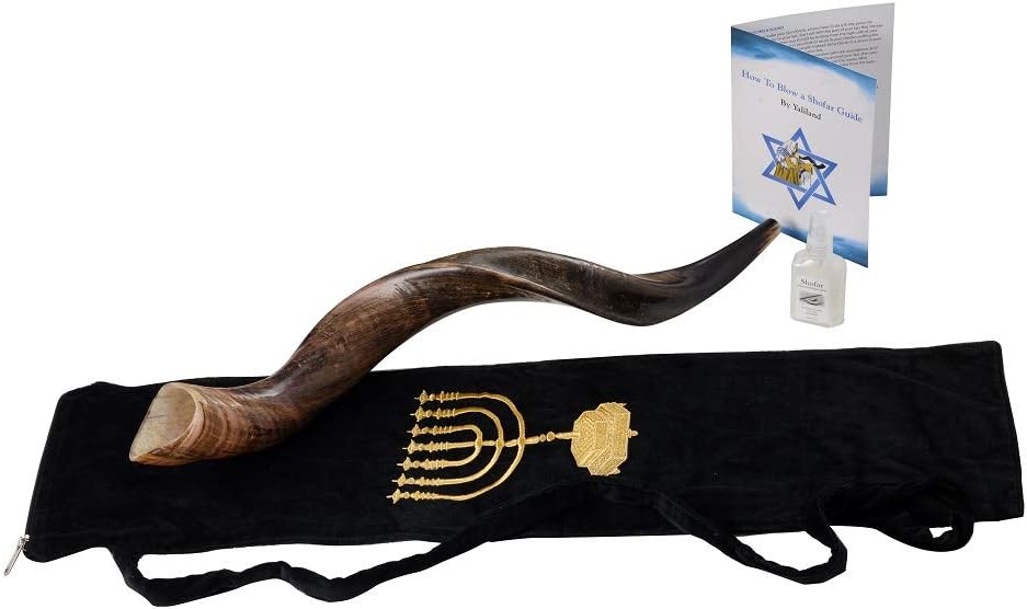 SHOFAR Set Full Natural Kudu Horn Yemenite + Bolsa + Guía + Estuche de transporte (30-32 pulgadas) de Israel