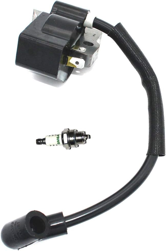 Módulo de encendido EWith Bujía BM6A para Ryobi RY09460 RY13010 RY34000 RY34420 RY34421 RY34440(S430) RY34441 RY64400 FY09440 RY34001 RY34001