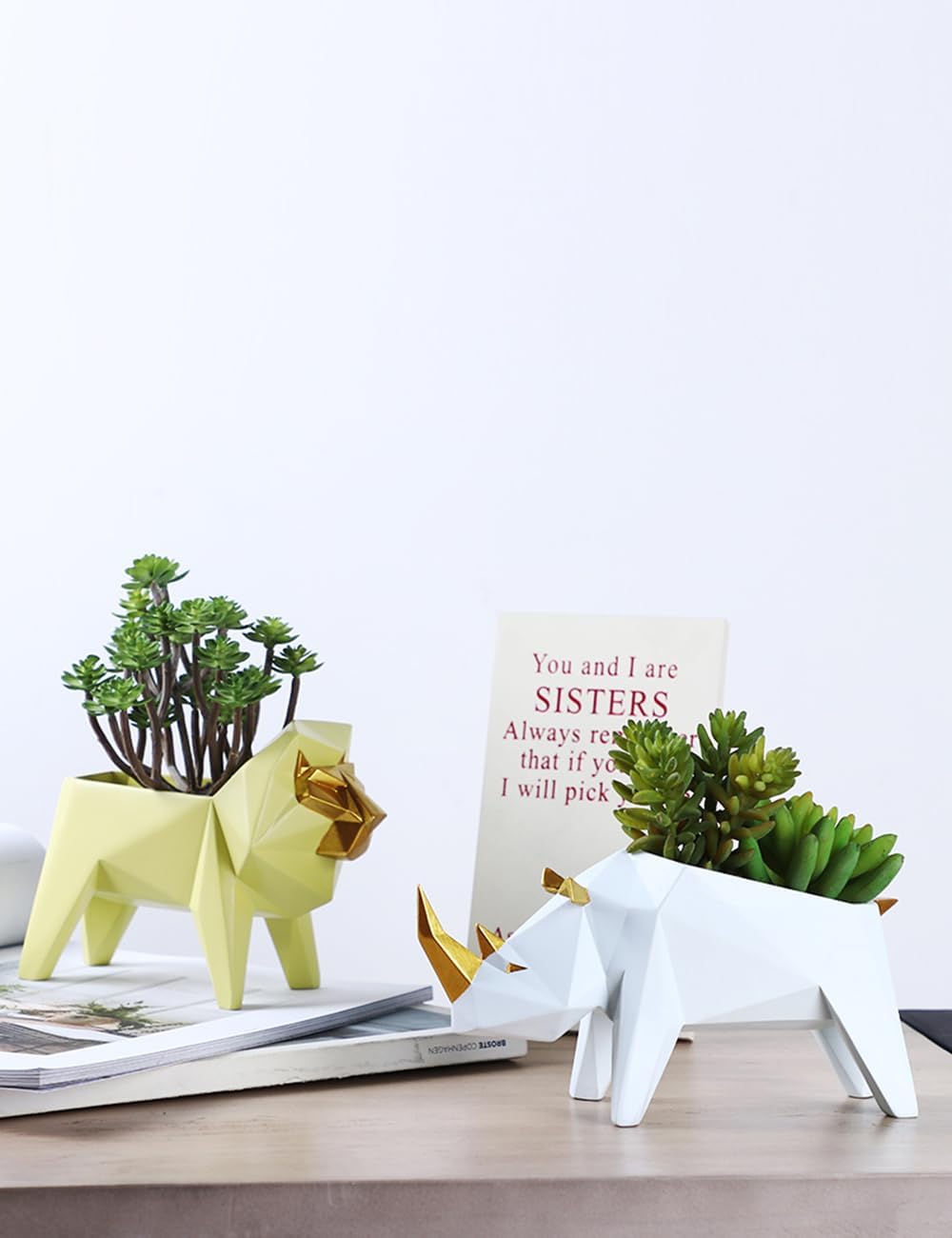 HAUCOZE Maceta para suculentas de cactus, estatua de león, figura decorativa de animales para el hogar, regalos de cumpleaños, arte, polirresina,