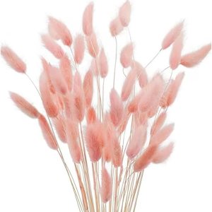 60 piezas de flores secas de cola de conejo, hierba rosa de las pampas, arreglo floral seco natural, flores secas para Halloween, Navidad, 60 piezas de flores secas de cola de conejo, hierba rosa de las pampas, arreglo floral seco natural, flores secas para Halloween, Navidad,