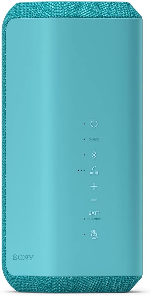 Sony SRS-XE300 X-Series – Altavoz inalámbrico portátil, Bluetooth, IP67 impermeable, a prueba de polvo y a prueba de golpes con batería de 24 horas,